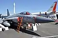 JF-17 Thunder from the No. 16 Squadron on display with the Squadron mascot "Black Panther" painted on its tail