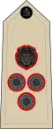 Brigadier (Malawi Army)