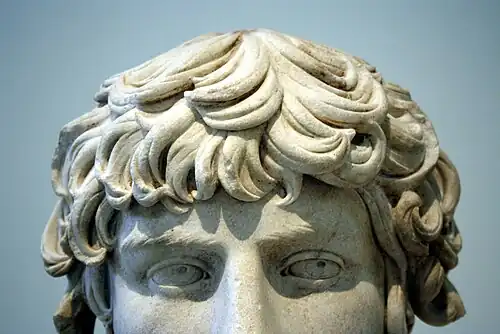 Eyes and hair.