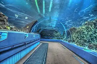 Ocean Voyager exhibit tunnel