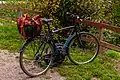 Helkama bike