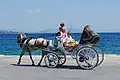 Carriage