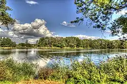 The Warta River
