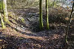 Funnel formed by the shaft located to the north of Crainvillers.