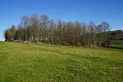 General view of the slag heap.