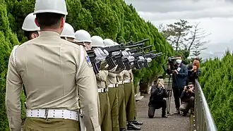 Three-volley salute