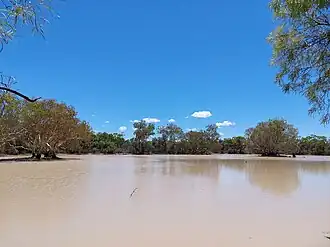 Cuttaburra Channel