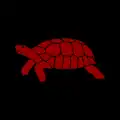 Orange tortoise on a black field