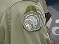 "A" Flight badge 2008