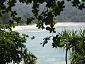 2nd tsunami wave, starting to retreat, 10:17