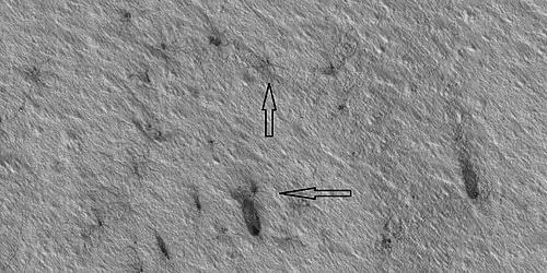 Plumes and spiders, as seen by HiRISE under HiWish program