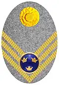 Hat badge (Mössmärke m/1914) for a captain in the army on fur hat (pälsmössa m/1909-14)
