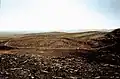 7 Paths of Roses (1995) sand painting Negev Desert, Israel work for Construction in Process V