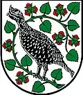 Coat of arms of Haslau bei Birkfeld