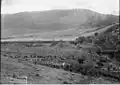 A Dorrigo homestead, circa 1900.