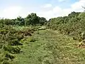 Footpath on Poor's Allotment