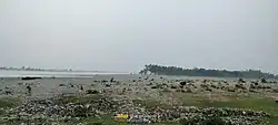 A typical morning view of the Indus River in Hund village, with a low-lying, debris-marked riverbank and trees partially obscured by fog.