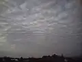 Altocumulus perlucidus