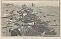 After the Battle of Placilla illustration