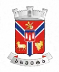Official seal of Akhmeta
