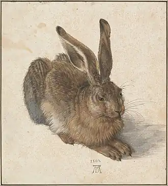 Young Hare, 1502, watercolour and gouache, 25&nbsp;×&nbsp;22.5&nbsp;cm, Albertina, Vienna