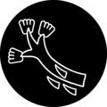 Official seal of Cuajimalpa de Morelos