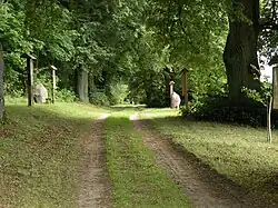 Bishops' Alley in Bałdy