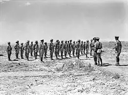 Soldiers on parade in the desert