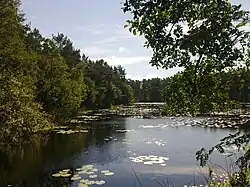 Allika lake