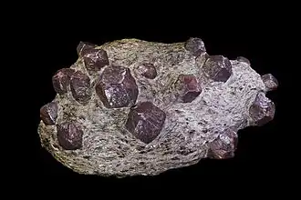 Large almandine porphyroblasts growing in gray-green schist