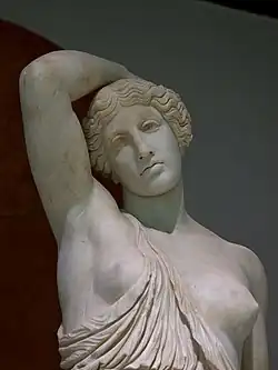 Detail of the wounded amazon