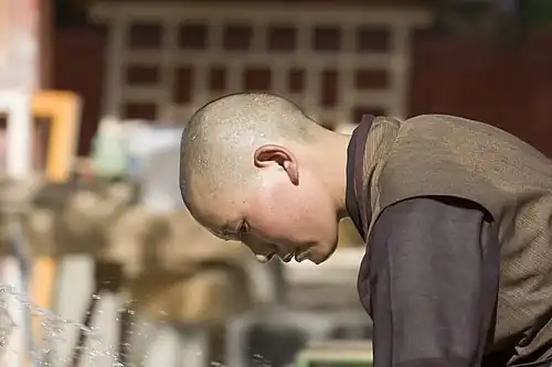 A young Buddhist nun at the nunnery