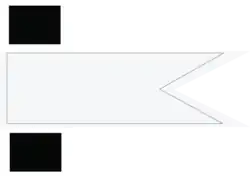 The Ansars flag