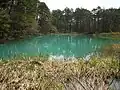 Ao-numa
