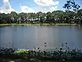 Bà Om Pond
