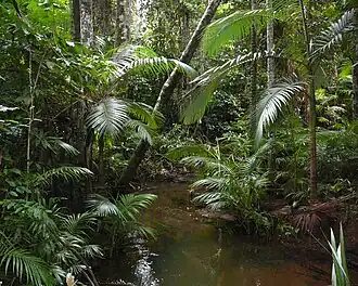 Habitat