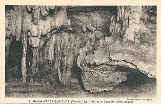 The Scallop pillar