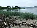 The point at the south end of the bay
