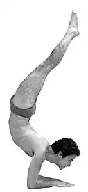 Pincha Mayurasana