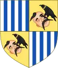 After the conquest of Raab from the Turks, Adolf von Schwarzenberg modified the Schwarzenberg coat of arms to include the head of a Turk