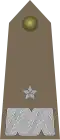 Generał brygady (Polish Land Forces)[45]