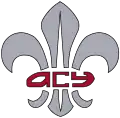 Association of Scouts of Ukraine