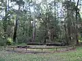 Eagle Campfire Circle