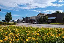 Downtown Auburn