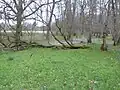 Audrey's Meadow