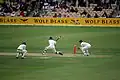 Aaron Redmond hitting a six off Nathan Hauritz in the second Test (photo 1 of 3).