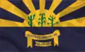 Flag of Santa Filomena