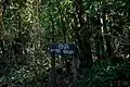 BNR tree nursery
