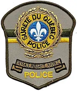 Patch of the SQ