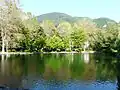 The Lake in Quinconces Park